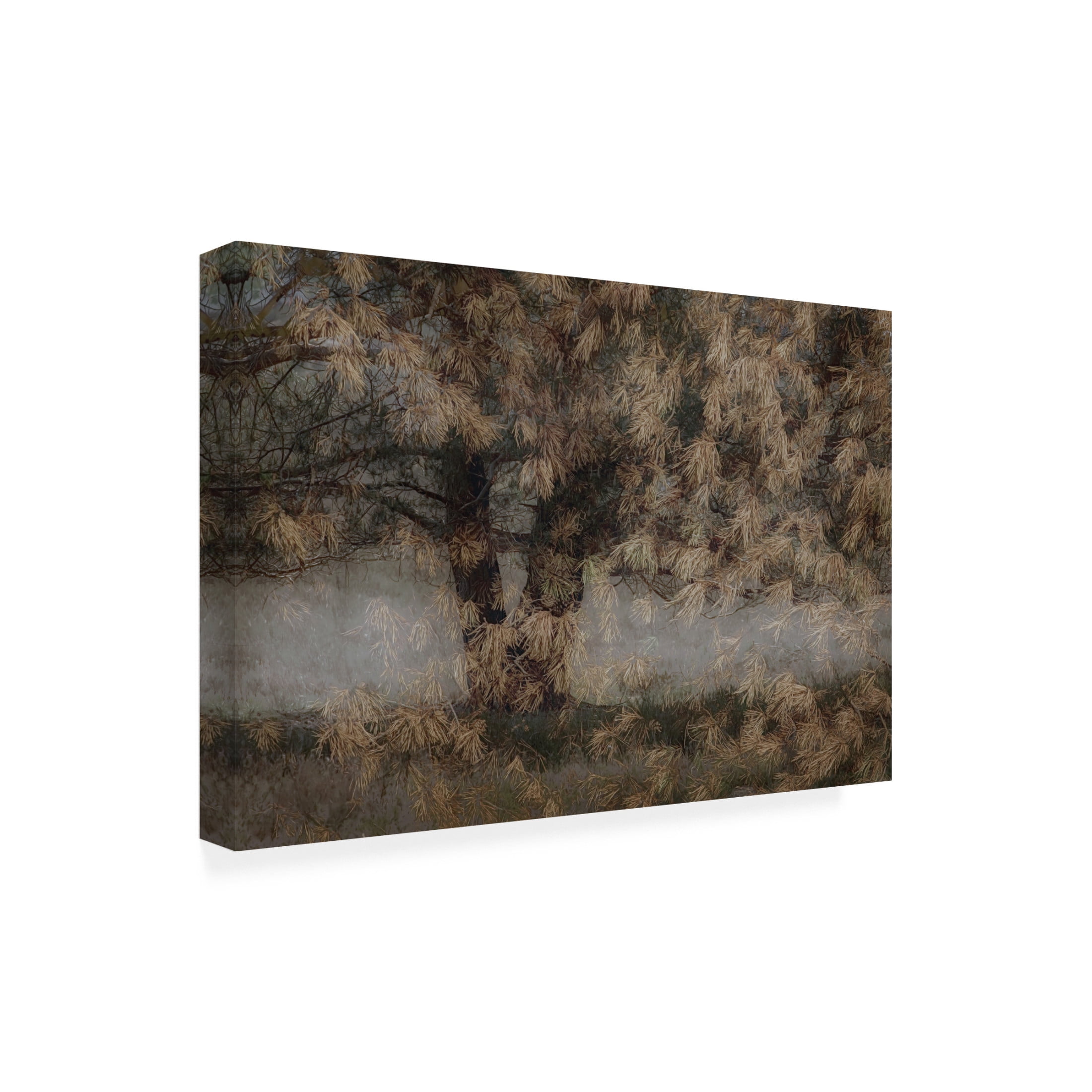 Canvas Wall Art - Greetje Van Son 'Pine Tree' Wall Art for Living Room, Bedroom, or Office Décor by Trademark Fine Art - 24 x 16 Inches