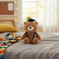 thumbnail image 2 of Large Class of 2026 Bear Plush, Brown and Black, Graduation by Way To Celebrate, 2 of 6