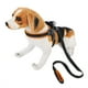 thumbnail image 5 of Collar Correa para mascotas, Collar de correa de nailon para mascotas Correa para perros pequeños, medianos y grandes Correa de nailon Estándares líderes en la industria, 5 of 11