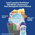 2X Lysol Laundry Sanitizer, Bacteria Causing Laundry Odor Eliminator