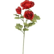 Teters Floral Cherry Fudge Rose, 1 Each