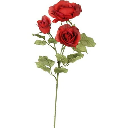 Teters Floral Cherry Fudge Rose, 1 Each