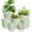 Green, variant on West Bay 7-Pack Self Watering Pots for Indoor Plant, Flower Pot with Drainage Holes and Clear Saucers, 4/5/5.5/6/6.5/7/8 Inch, Black