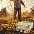 thumbnail image 2 of Beehive Frame Holder, 2PCS Stainless Steel Bee Hive Stand, 5 Full Frame Capacity, 2 of 5