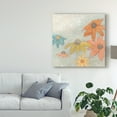 thumbnail image 3 of Trademark Fine Art 'Floral Fresco I' Canvas Art by June Erica Vess, 3 of 4