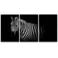 thumbnail image 3 of PixonSign Canvas Print Wall Art Set Pinhole Style Zebra Portrait Animals Wildlife Photography Realism Rustic Closeup Relax/Calm Dark Black and White for Living Room, Bedroom, Office - 24"x36"x3, 3 of 5