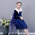 thumbnail image 3 of Girls Fancy Princess Costume Deluxe Dress Up Cosplay Party Dresses, 3 of 5