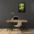 thumbnail image 4 of Hausenflock, Alan 17x24 Black Modern Framed Museum Art Print Titled - White Oak River I, 4 of 5