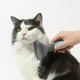 thumbnail image 3 of Cepillo para gatos y perros de gran tamaño que reduce eficazmente la caída del pelo y los nudos, 3 of 6