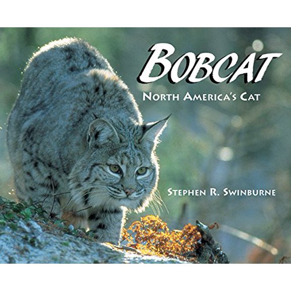 Pre-Owned Bobcat (Hardcover) 1563978431 9781563978432