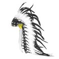 thumbnail image 1 of Diadema de jefe , accesorio para disfraz, decoración del hogar, de plumas artificiales para fiesta, escenario, espectáculo y baile., 1 of 8