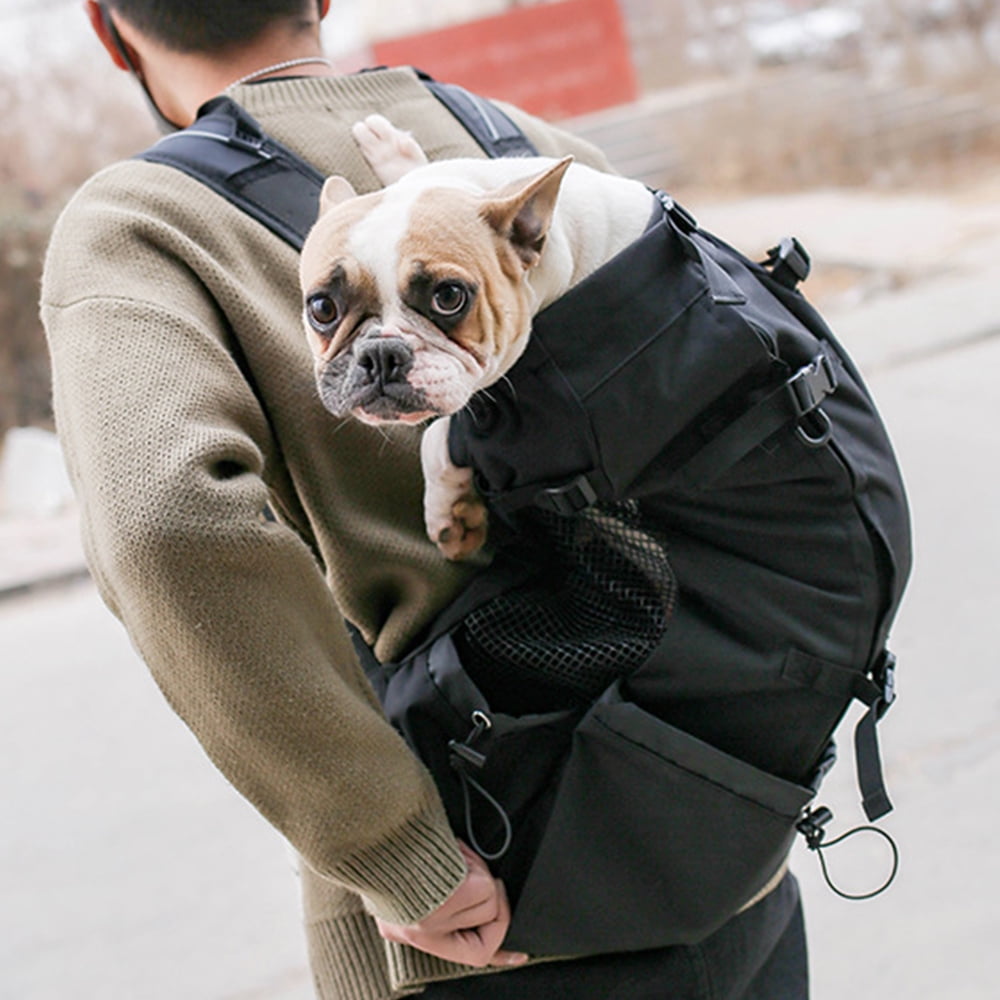 Sac à Dos Transporteur pour Chiens et Chats Moyens, Sac à Dos