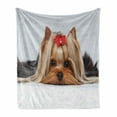 thumbnail image 1 of Yorkie Soft Flannel Fleece Throw Blanket, Lying Yorkshire Terrier Ribbon Pet Love Portrait of a Dog, Cozy Plush for Indoor and Outdoor Use, 70" x 90", Pale Caramel Sand Brown, by Ambesonne, 1 of 6