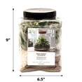 thumbnail image 2 of Better Homes & Gardens Terrarium Starter Kit for Indoor Plants, 2 of 5