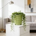 thumbnail image 6 of Linnome Thickened Root Control Breathable Round Planter Anti-Waterlogging Anti Root Rot Plastic Houseplant Pot for Balcony Indoor Greenery, 6 of 6