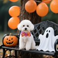 thumbnail image 4 of (2 Pack) Durable Halloween Pet Collar for Dogs and Cats - Chew- Polyester Accessory for Festive Indoor Outdoor Use, 4 of 5