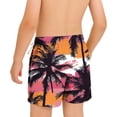 thumbnail image 6 of ITSAME Boys Swim Trunks, Fashion Print Quick-Dry Elastic Waist Summer Casual Beach Swim Shorts Multicolor 14-15T, 6 of 7