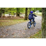 20 Kent Bicycle Chaos Boys Child Bicycle, Matte Black and Blue