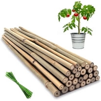 Artrylin 20 Pcs Plant Stakes,Bamboo Garden Stakes for Plants,Natural Garden Bamboo Sticks,Support Stakes for Potted Plants,Bamboo Sticks for Tomatoes,Beans and Vegetable (Beige)