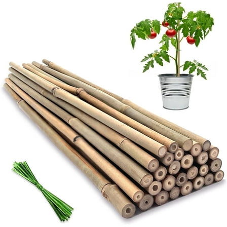 Artrylin 20 Pcs Plant Stakes,Bamboo Garden Stakes for Plants,Natural Garden Bamboo Sticks,Support Stakes for Potted Plants,Bamboo Sticks for Tomatoes,Beans and Vegetable (Beige)