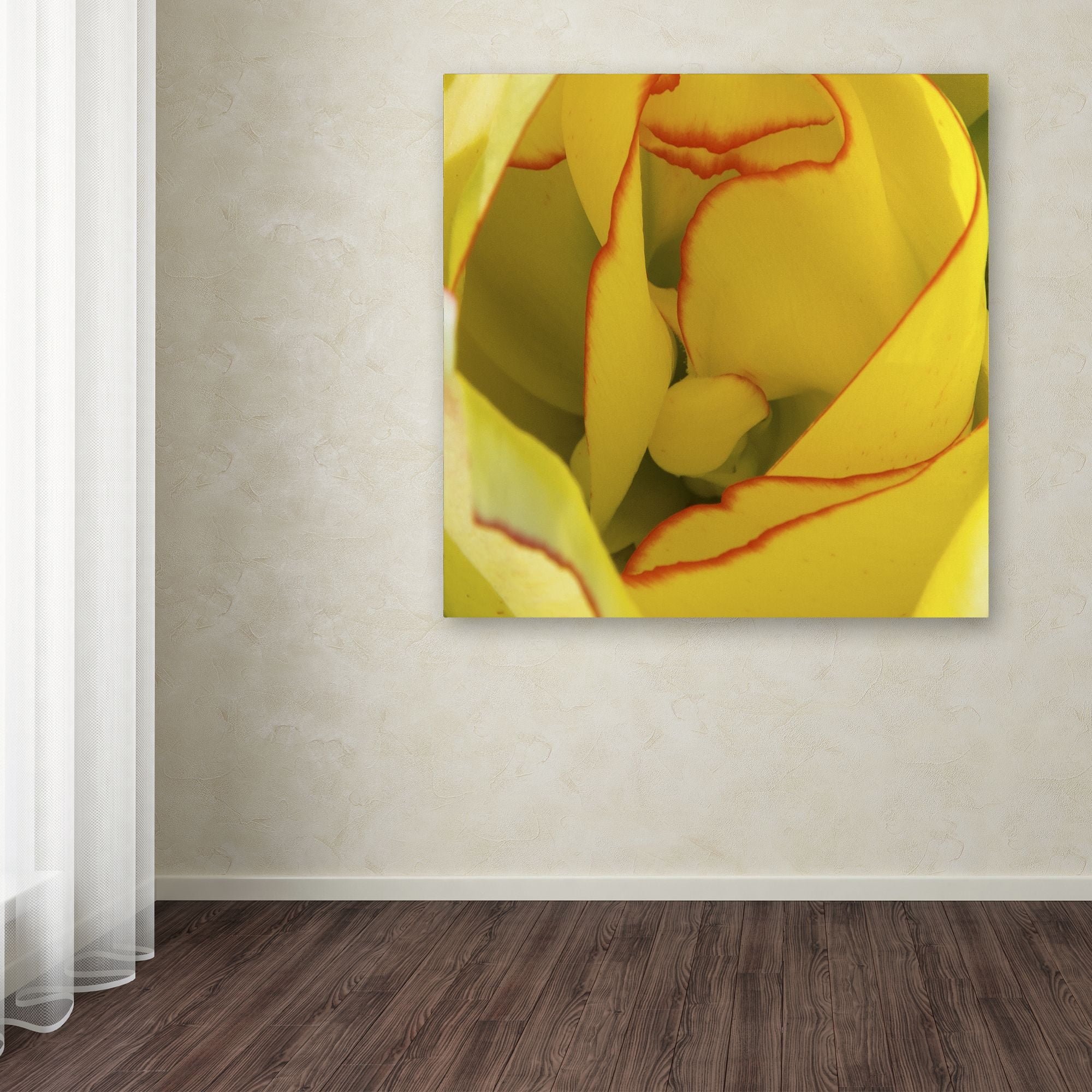 Trademark Fine Art "Inside a Beautiful Tulip" Canvas Art by Kurt Shaffer