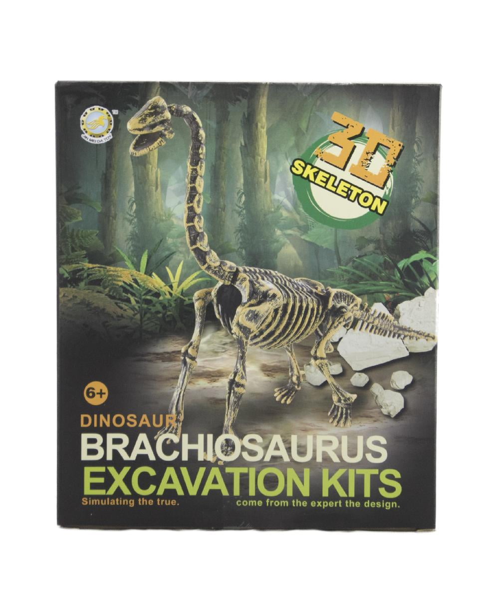 STEM BRACHIOSAURUS SKELETON KIT Dinosaur Archeology Set - Walmart.com - Walmart.com