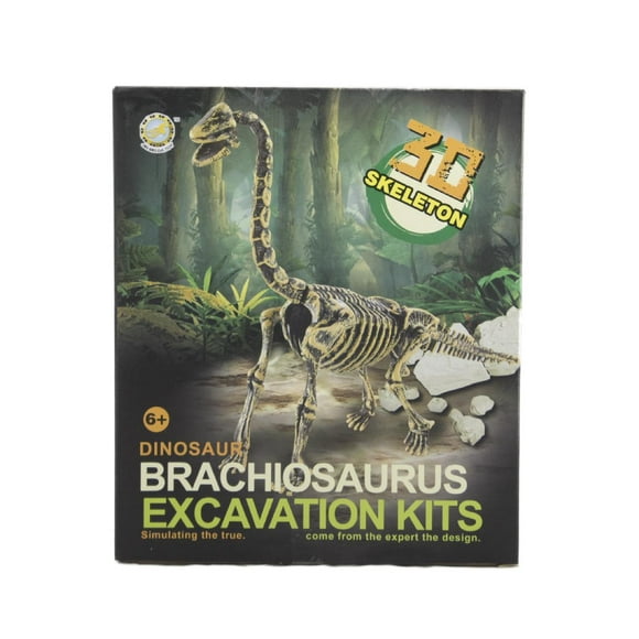 Archeology Kit