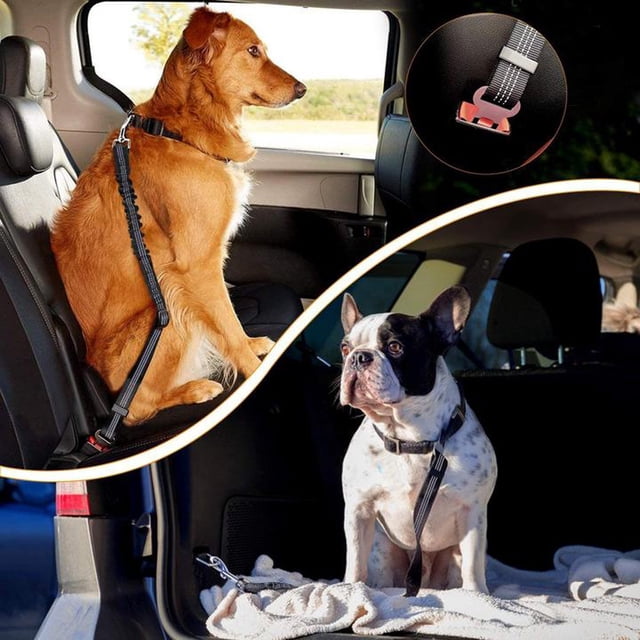Xihbxyly Cinturón de Seguridad para Perros, Tecnología de Absorción de Impactos, Ajustable para Todos Los Tamaños, Protege a Tu Mascota En Caso de Accidente, Nailon Cómodo y Duradero, Fácil de Instal