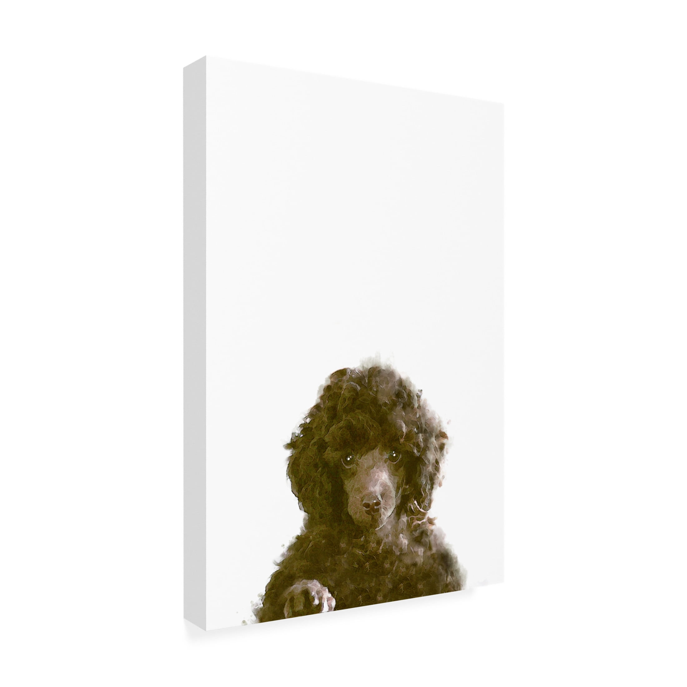 Canvas Wall Art - Pictufy Studio Ii 'The Dog' Wall Art for Living Room, Bedroom, or Office Décor by Trademark Fine Art - 16 x 24 Inches