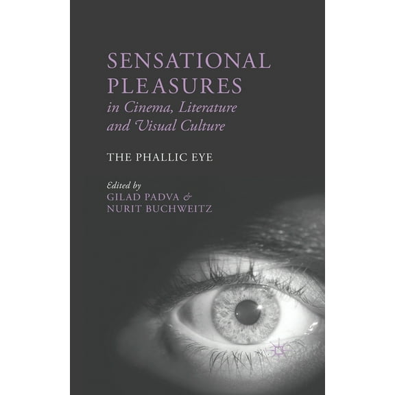 Sensational Pleasures in Cinema, Literature and Visual Culture: The Phallic Eye, (Paperback)