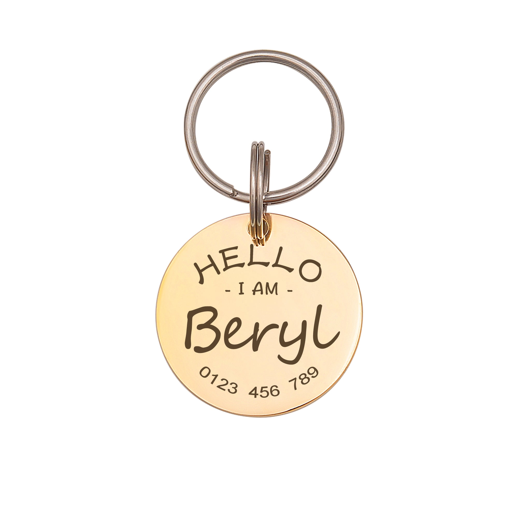 Anavia Metal Stainless Steel Round Name - Phone Number Birthday Holiday Christmas Engraved Dog Cat ID Tag, Gold
