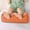 Orange, variant on Yannianjz under $5 Leg Pillow,Bolster Pillow for Legs, Foam Filling Foot Pillow Leg Rest Pillow,Leg Pillow Elevation Blood Circulation for Spa Massage Table