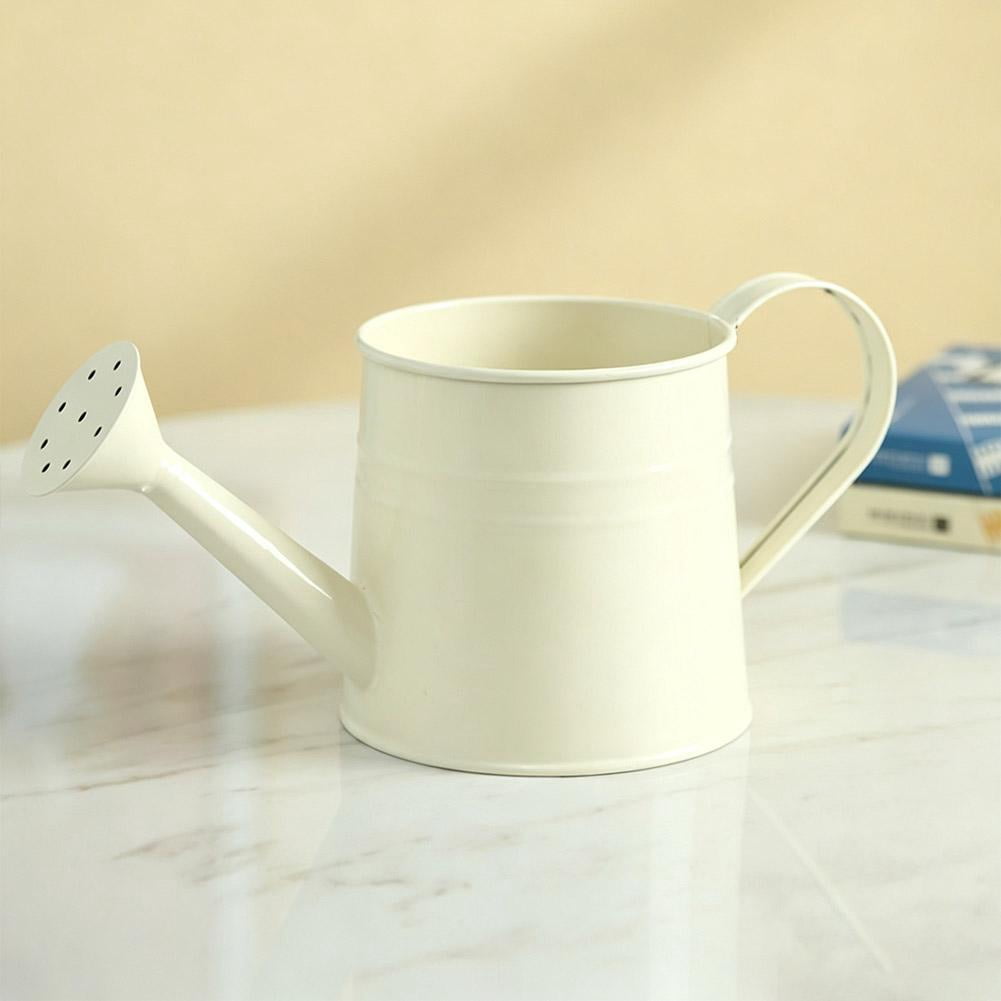 Metal Watering Can, 1L Vintage Sprinkling Can Plant Watering Cans for Outdoor Indoor Plants, Retro Sprinkling Cans for Flowers, Indoor & Outdoor Plants, Lawn & Garden Irrigation Tool - White