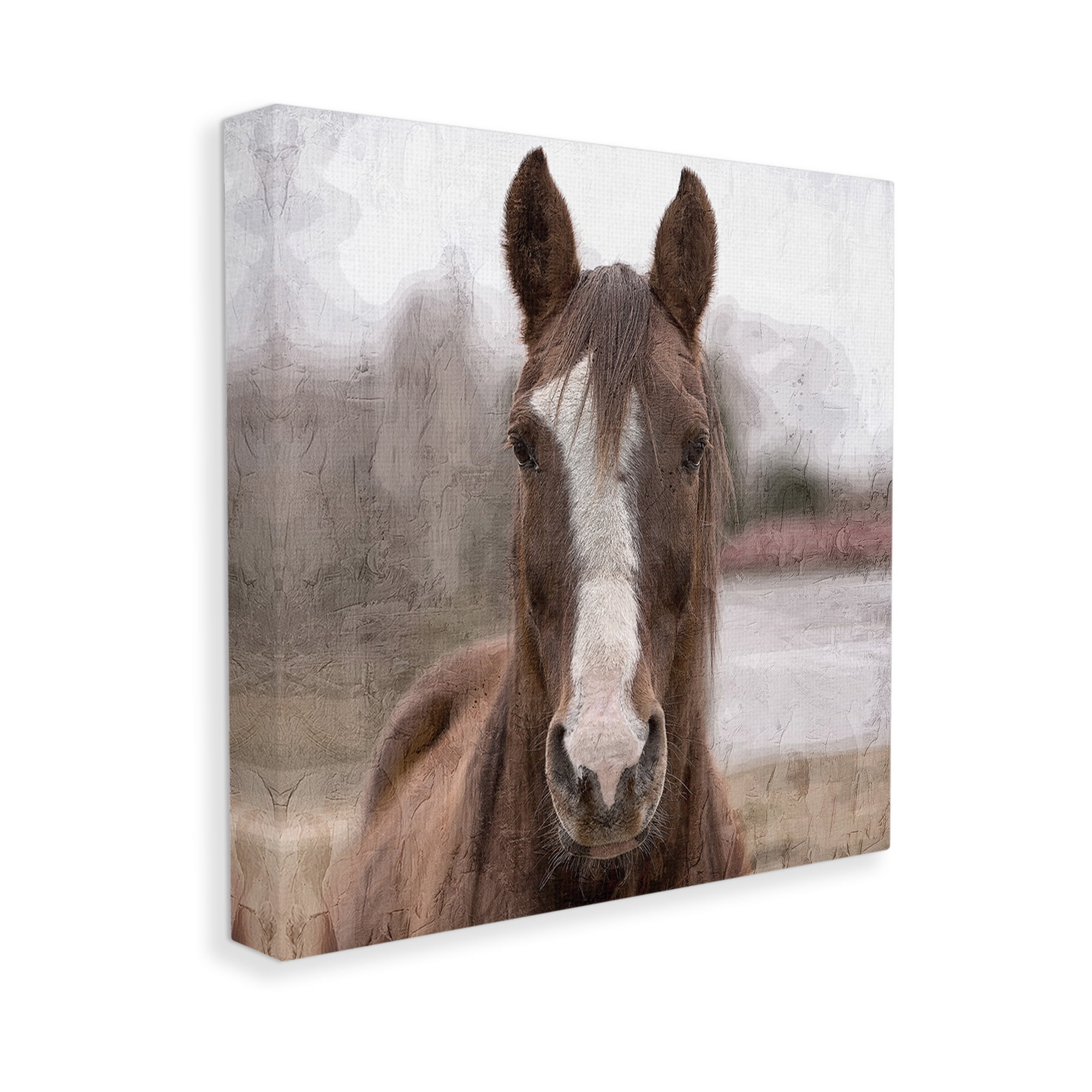 Stupell Industries Brown Horse Portrait Animals & Insects Photography Gallery Wrapped Canvas Art Print Wall Art, 30 x 30