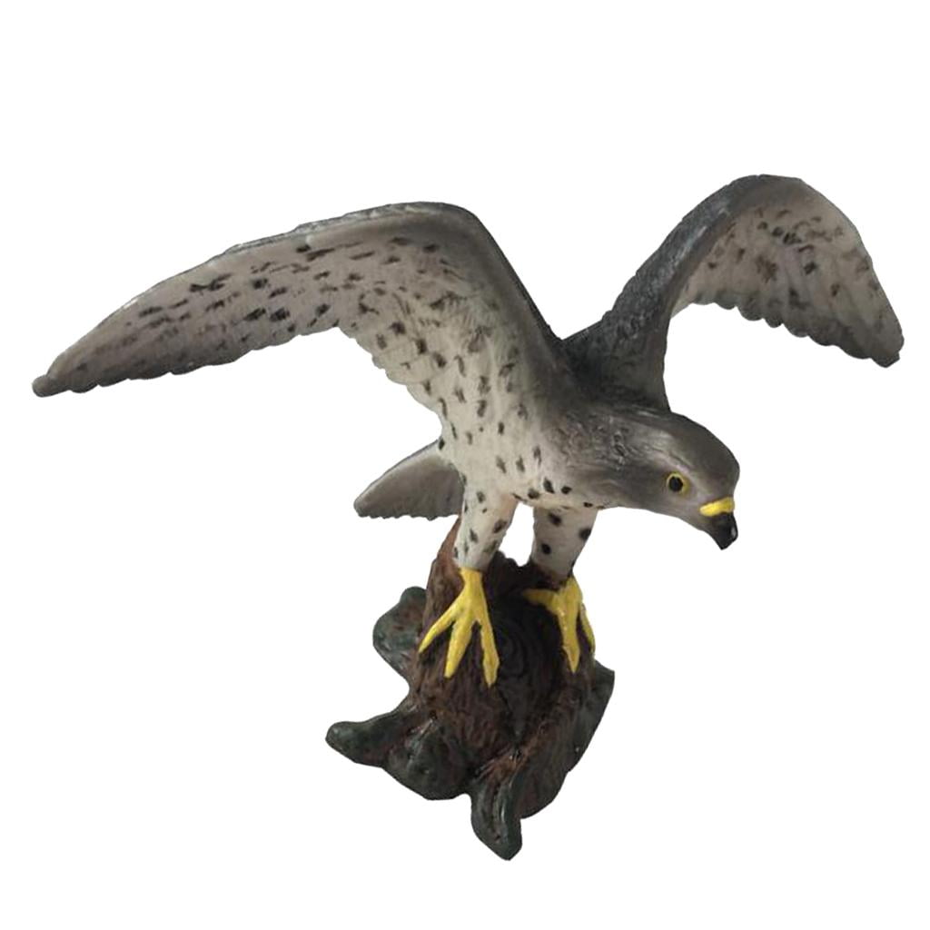 Simulation Bird Figures Peregrine Falcon Toy Home Decor Teaching Photo Props 