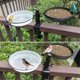 thumbnail image 1 of Bird Feeder - 2-in-1 Bird Bath And Feeder With Balcony Bracket, 1 of 5
