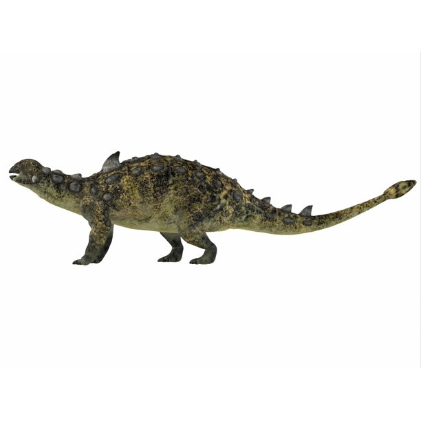 euoplocephalus fossil