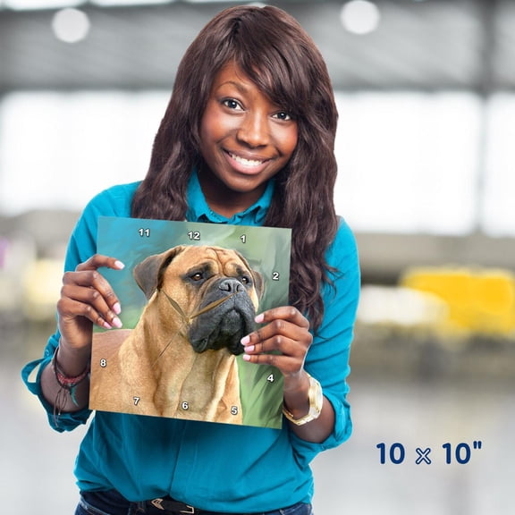 3dRose, Bullmastiff, 10x10 Wall Clock