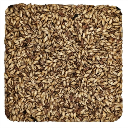 Home Brew Ohio Caramel 10L Grain 1lb