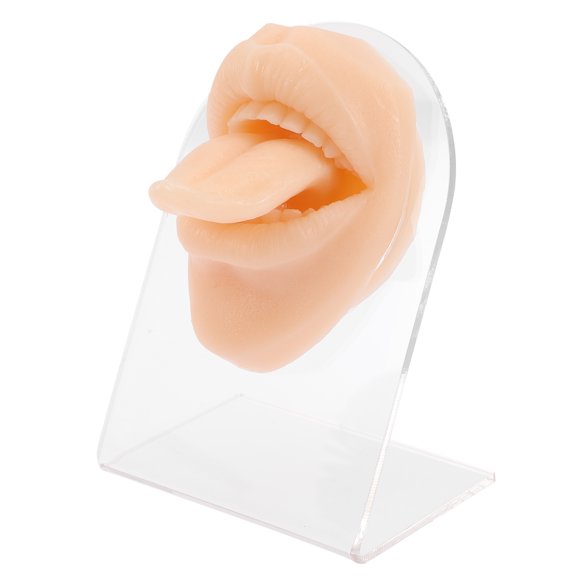 EeaseMX Modelo de lengua de silicona para práctica de perforación, exhibición de anillo de perforación.