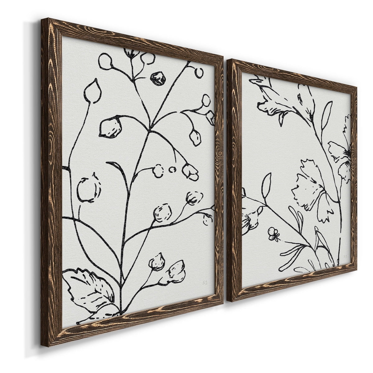 Botanical Sketch I - Premium Framed Canvas 2 Piece Set - Ready to Hang