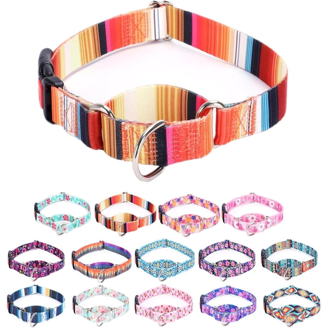 Collier Martingale pour Chiens Réglable Doux Durable pour Petits Moyens Grands Garçons et Mâles Sans Traction Sans Glissement Boucle de Sécurité Colliers pour Chiens-Rayure Orange/petit