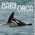 thumbnail image 4 of Baby Orca, Mary Batten Paperback, 4 of 4