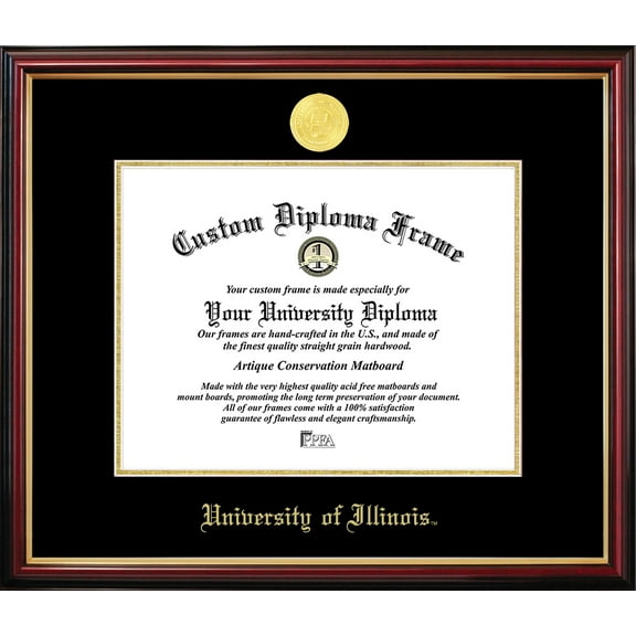 Illinois Petite Diploma Frame