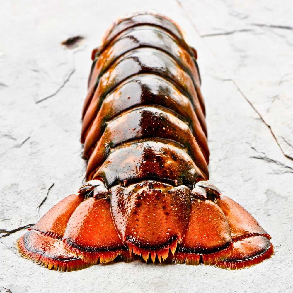 Today Gourmet Lobster Tails - 14oz.-16oz. - (2 Tails)