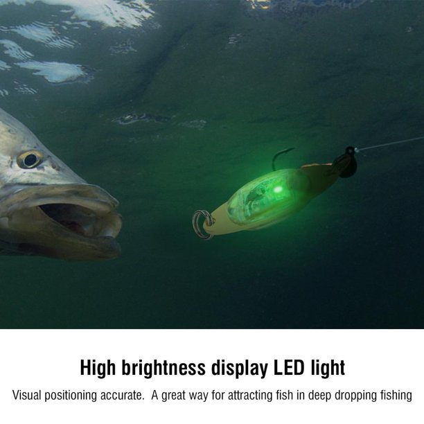 Angling essay eye fish outdoors 08 image