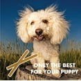 thumbnail image 3 of N-Bone Puppy Teething Sticks Variety Pack, Dried Chew Sticks for Puppy, Chicken & Pumpkin & Peanut Butter Flavor, 3 Bags, 11.22 oz, for Small Breeds, 3 of 18