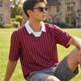 thumbnail image 5 of Men's Pinstripe Polo T-Shirt, Loose Short Sleeve Top with Contrast White Collar, 5 of 7
