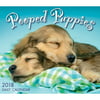 2018 Pooped Puppies Desk Calendar,  Cute Puppies by Sellers Publishing