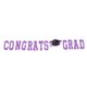 thumbnail image 4 of Banner de fondo fotográfico decorativo para fiesta de graduación de 2022, decoración colgante, 4 of 6